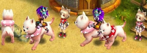 ꡼ No.001 | ֥ΥסХо줹֥BOXڡפ