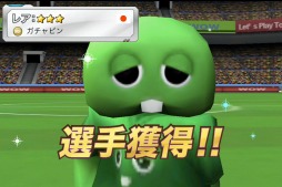 ꡼ No.008 | ֥Сɥեåȥܡ顼סݡǽʡ֥ԥ꤬о