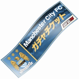 画像ギャラリー No.011のサムネイル画像 / 「BFB 2015」に“マンチェスター・シティ FC”の新選手や新スキルが実装