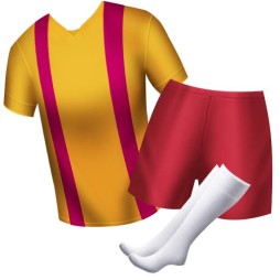 ꡼ No.008 | BFB 2015פBFB 2016פ̾ѹǲ֤ӤޤҤפȤΥܴ»