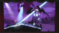 ꡼ No.005Υͥ / ֥ѥڥåƥפθȤ˥塼륪ץ󡣥ҡإå˷Ф륢䡤ȡ꡼ȥ쥤顼å