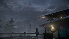 ꡼ No.020 | PS4Until Dawn - λ -סȡ꡼䡤о쥭Ȥشط֥Хե饤եȥƥפγפ