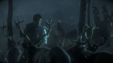 ꡼ No.012 | Until Dawn - λ -פǼ͸ˬ3ĤΥ奨󤬸ɤ⤿餹̤ϡġġ