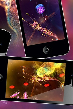 ꡼ No.007 | 815iOSץꥻ۲İ饯륢󥲡֤ܤΥ饯פ170ߤͲ