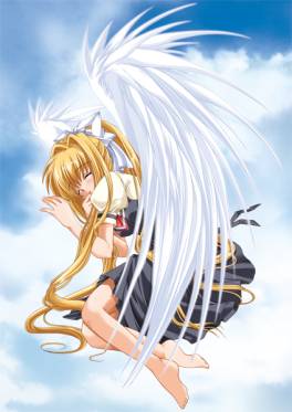 ꡼ No.003Υͥ / ADVAIR SUMMERAIRԡס֥ᥤǥϥפGoogle Playۿ