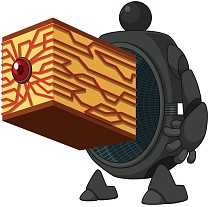 ꡼ No.002 | ֥åޥ Сסϥܥ饳ƥȤη̤ȯɽ