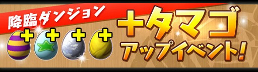 ���������꡼ No.011�Υ���ͥ������ / �֥ѥ��ɥ�ס�12��28���������Ȥ�ǯ��ǯ�ϥ��٥�ȤǤϥ������٥륢�å׳�Ψ������3�ܡ��ס����¤ο���1�Ƥ��оݤΥ��åɥե����ϥե����¡�Ķ���4UP��