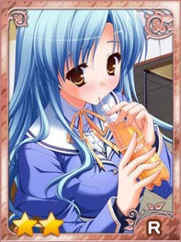 ꡼ No.002Υͥ / Υҥ罸硣ɥ֥ݥҥܡפۿ