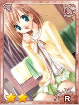 ꡼ No.007Υͥ / Υҥ罸硣ɥ֥ݥҥܡפۿ