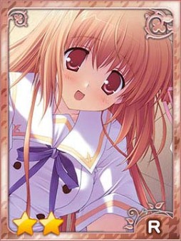 ꡼ No.009Υͥ / Υҥ罸硣ɥ֥ݥҥܡפۿ