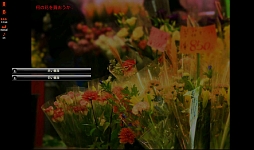 ꡼ No.008Υͥ / ¤ϿǤαˤġġޡȥեۥ顼Υ٥륲֤Ϥβ֤Ͼ˺餯פҲ𤹤֡ʤۤܡޥۥ̿405