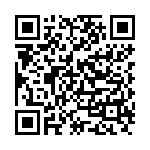 ꡼ No.013Υͥ / Android3D󥫡ɥ100ͤNINJA GAIDENפо