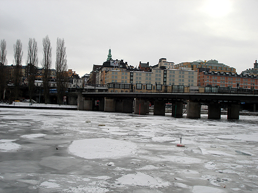 ꡼ No.004 | Paradox InteractiveܼιԵեߡƥ󥰤˻äơMarch of the EaglesסCrusader Kings IIפʤɤγȯԤCEOˡäʹ