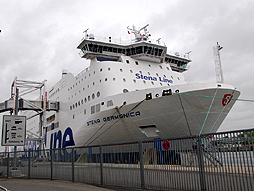 ꡼ No.045 | Paradox InteractiveܼιԵեߡƥ󥰤˻äơMarch of the EaglesסCrusader Kings IIפʤɤγȯԤCEOˡäʹ