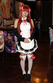 ꡼ No.008Υͥ / ֥ɥ꡼९֡סߡ֥ѥץܥ졼󥫥ե121ץŹͻҤͽΥɥ󥯤ա/ĤǧƤ