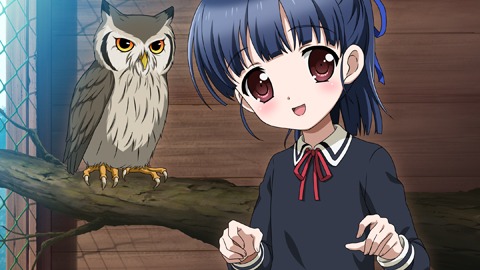 画像ギャラリー No.005のサムネイル画像 / 「アクセル・ワールド -加速の頂点-」の発売日が2013年1月31日に決定。初回限定生産版に付属するOVAの画像も多数公開に