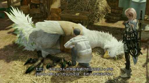 ���������꡼ No.013�Υ���ͥ������ / ��LIGHTNING RETURNS: FINAL FANTASY XIII�ץ��å���⡼����ξ������餫�ˡ������ץ���ɷ��Υޥåס֥�������ͥ��פϥ��祳�ܤ�ͷ�٤롩