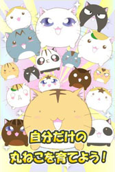 ꡼ No.004 | Androidץ֥ݥݥѻסGMOॻ󥿡ۿ