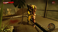 ꡼ No.037 | Dead Island: Riptide5ͤΥץ쥤֥륭饯֥󡦥⡼פŷѲͿƶ俷ʥӤξʤɤҲ