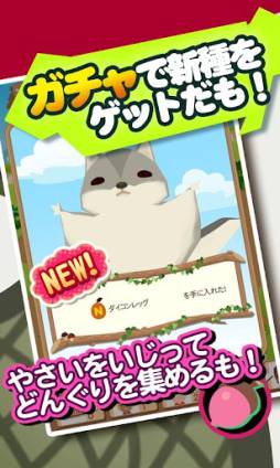 ���٥��ե�����