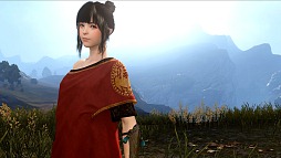 ꡼ No.010 | ४󡤿MMORPGֹʲˡפȯɽ2013ǯ˥ӥ