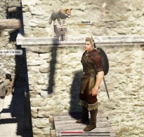 ꡼ No.018 | ʤʤΤưġġֹʲˡ״ڹCBTСθݡȡǸĶۤĶ׸MMORPGä