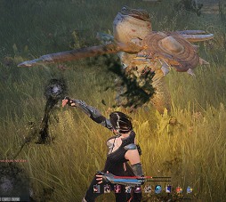 ꡼ No.060 | ʤʤΤưġġֹʲˡ״ڹCBTСθݡȡǸĶۤĶ׸MMORPGä