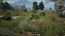 ꡼ No.014 | MMORPGֹפܻؤޤǤȤޤäۤʤ륲ȤϡڹȯPearl AbyssCEO ࡦǥ˥󥿥ӥ塼Ƥߤ