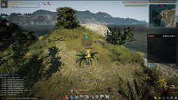 ꡼ No.058 | MMORPGֹפܻؤޤǤȤޤäۤʤ륲ȤϡڹȯPearl AbyssCEO ࡦǥ˥󥿥ӥ塼Ƥߤ