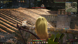 ꡼ No.062 | MMORPGֹפܻؤޤǤȤޤäۤʤ륲ȤϡڹȯPearl AbyssCEO ࡦǥ˥󥿥ӥ塼Ƥߤ