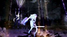 ���������꡼ No.005�Υ���ͥ������ / �ֹ��������פΥƥ����������Ȥ��������ƥ��饹����Ʈ���������ܥ��ȤΥХȥ�ʤɡ����ޤ��ޤ����Ǥ���⤹��ࡼ�ӡ���������