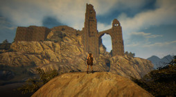 ���������꡼ No.011�Υ���ͥ������ / MMORPG�ֹ��������פ������ϡ��ץ쥤�䡼��ͷ���������̵�¤ι�����򸫤��롣�ץ쥪���ץ�ƥ��ȼ»ܤ��褬�����ץ쥤��ݡ��Ȥ��Ϥ����褦