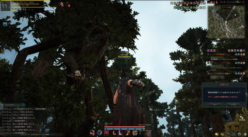 ���������꡼ No.015�Υ���ͥ������ / MMORPG�ֹ��������פ������ϡ��ץ쥤�䡼��ͷ���������̵�¤ι�����򸫤��롣�ץ쥪���ץ�ƥ��ȼ»ܤ��褬�����ץ쥤��ݡ��Ȥ��Ϥ����褦