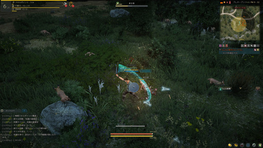 ���������꡼ No.028�Υ���ͥ������ / MMORPG�ֹ��������פ������ϡ��ץ쥤�䡼��ͷ���������̵�¤ι�����򸫤��롣�ץ쥪���ץ�ƥ��ȼ»ܤ��褬�����ץ쥤��ݡ��Ȥ��Ϥ����褦