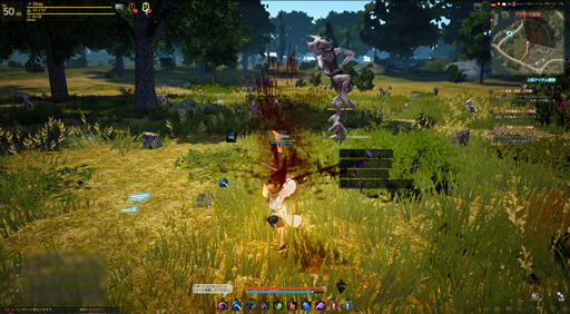 画像ギャラリー No.006のサムネイル画像 / 「黒い砂漠」のオープンサービスが5月8日に開始。新たに追加される「リトルサマナー」を含めた5クラスの特徴を紹介しよう