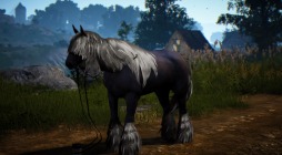 ���������꡼ No.015�Υ���ͥ������ / �ֹ��������פο����饹�֥����륭�꡼�פ��������������ϰ����λٱ祤�٥�ȡֱ����֥���������2�Ĥβ���פ����Ť�