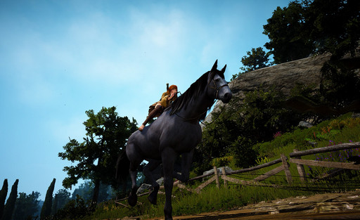 画像ギャラリー No.038のサムネイル画像 / 自由度が高いと言われるMMORPG「黒い砂漠」。何がそんなに自由なのかをいろいろ紹介してみよう