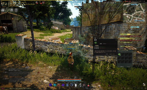 自由度が高いと言われるmmorpg 黒い砂漠 何がそんなに自由なのかをいろいろ紹介してみよう