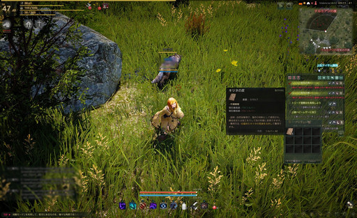 画像ギャラリー No.049のサムネイル画像 / 自由度が高いと言われるMMORPG「黒い砂漠」。何がそんなに自由なのかをいろいろ紹介してみよう