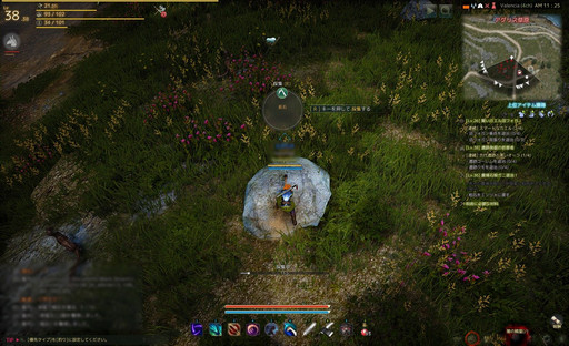 自由度が高いと言われるmmorpg 黒い砂漠 何がそんなに自由なのかをいろいろ紹介してみよう 自由度が高いと言われるmmorpg 黒い砂漠 何がそんなに自由なのかをいろいろ紹介してみよう
