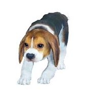 ���������꡼ No.026�Υ���ͥ������ / �ֹ��������׿����饹�֥��������ɡפȡ֥����å��פ�9��30���˼���ͽ�ꡣ�ץ쥤�����󤬳�ǧ�Ǥ���PV�����