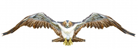 ���������꡼ No.029�Υ���ͥ������ / �ֹ��������׿����饹�֥��������ɡפȡ֥����å��פ�9��30���˼���ͽ�ꡣ�ץ쥤�����󤬳�ǧ�Ǥ���PV�����