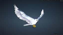 画像ギャラリー No.008のサムネイル画像 / 「黒い砂漠」，パーティを対象とした召喚ボスモンスター討伐イベントを開催