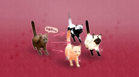 ���������꡼ No.007�Υ���ͥ������ / �ֹ��������ס��������쥹�γ������֥ǥ��������פ�3��16���˼���������Ѥ��Ϥ�褻�����ϰϤ˥��᡼����Ϳ�������