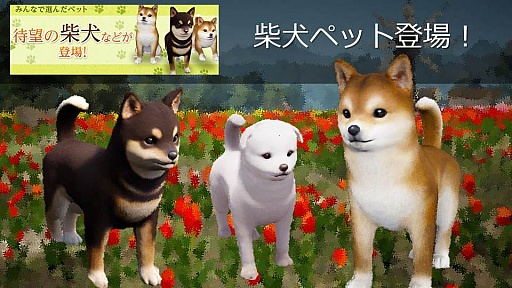 ꡼ No.040Υͥ / ֹפPmangպץơ٥ȤǤϡ饹աʲˤ俷ꥢʤɡǿ