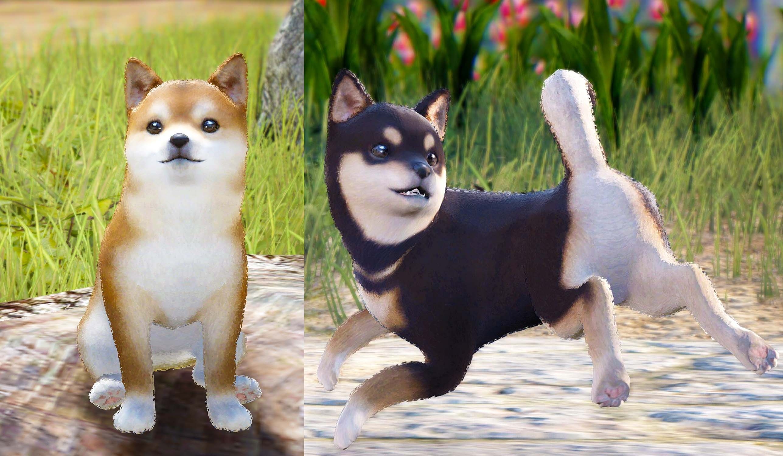 画像集no 010 黒い砂漠 Webmoneyやインゲームアイテムが当たる1周年記念イベントが開催