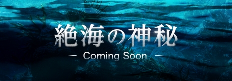 ���������꡼ No.007�Υ���ͥ������ / �ֹ��������ץ��������ɤΡ֥��åɥ�����פ��ɲä��������異�åץǡ��Ȥ�11��9���˼»ܡ��緿���åץǡ��ȡ��䳤�ο���פ�����θ�������