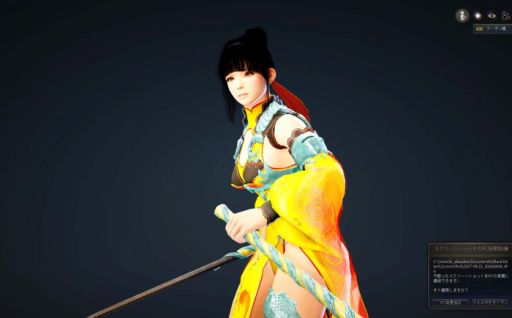 黒い砂漠 第2回pvp公式大会の本選トーナメントが8月26日に開催