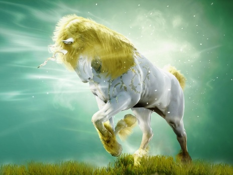 ���������꡼ No.012�Υ���ͥ������ / �ֹ��������ס����åץǡ��ȡֿ����˸��줷���ԥ���ʡפ�����������������ι�Ԥ�������ּ����ꥭ���ڡ���פ򳫺�