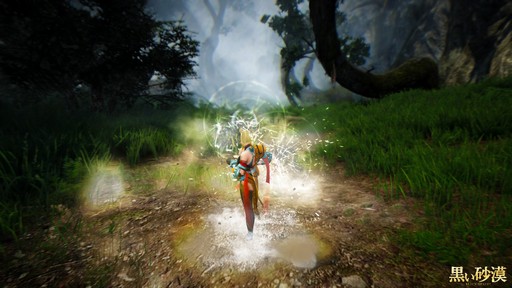 画像ギャラリー No.014のサムネイル画像 / 「黒い砂漠」新クラス「ミスティック」プレイレポート。華麗な足技が特徴の女性格闘家は初心者にも扱いやすいコンボキャラ